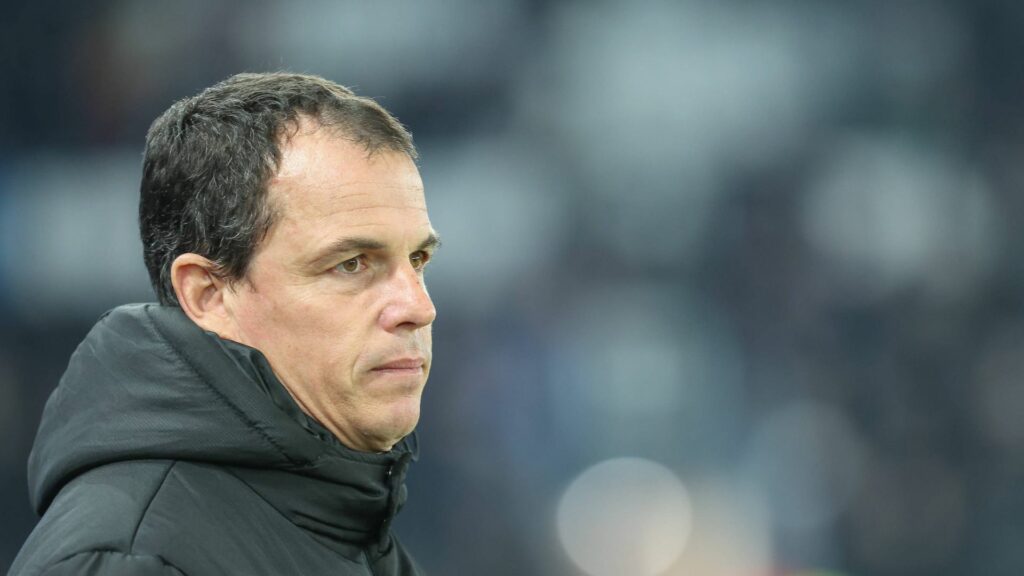 Regis Le Bris looking forward at Sunderland