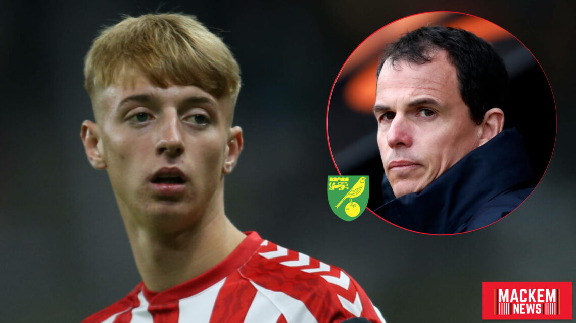 Sunderland Norwich City Tom Watson Regis Le Bris