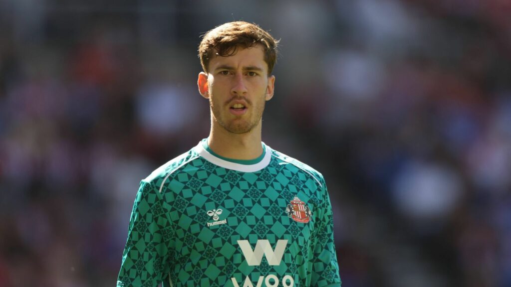 Robin Roefs playing for Sunderland