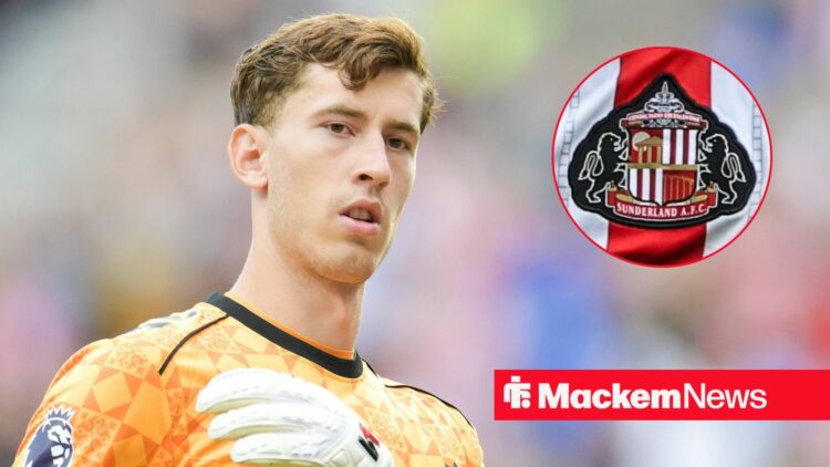 Robin Roefs playing for Sunderland with badge in frame